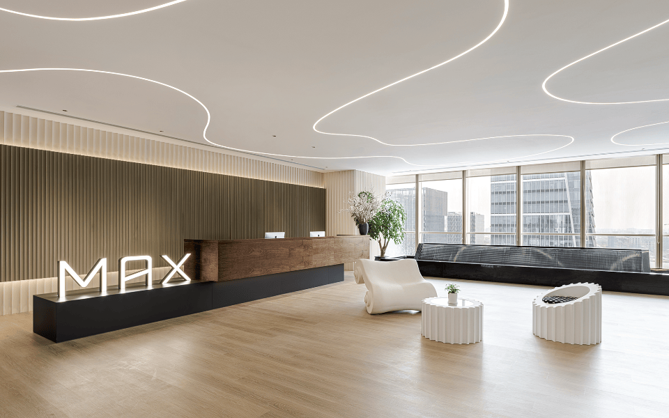 广告公司、公司环境、MAX