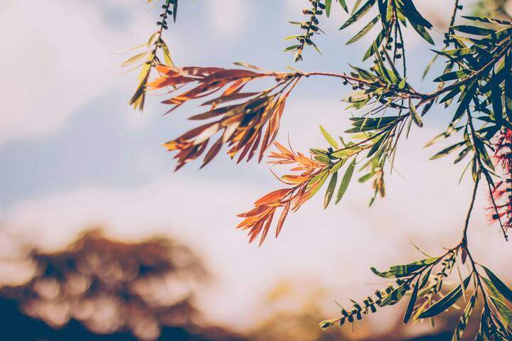 马赫带是什么？马赫带视觉现象的原理与科学解析
